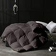 MammaYo Razzai 500 GSM Winter Comforter Premium Collection Quilted Comforter (92" x 106" Inches/233cm x 269cm) - King Size Comforter|Dark Grey| lightweight| Microfibre
