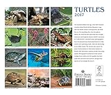 Image de Turtles 2017 Calendar