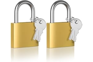 Cieex Cadenas Clé 2 Petits Cadenas Casier 40 x 30 x 8mm Étanche Cadenas de Sécurité pour Sacs de Voyage, Valise, Armoires, Casiers