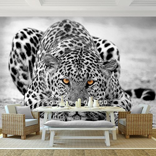 Fototapete Leopard 308 x 220 cm – Vliestapete – Wandtapete – Vlies Phototapete – Wand – Wandbilder XXL – !!! 100% MADE IN GERMANY !!! Runa Tapete 9034010b - 2