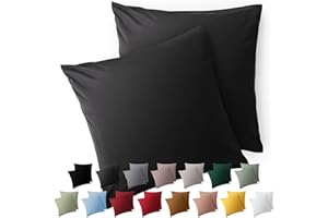 Blumtal Federe Cuscini Divano 50x50 cm - Set di Copricuscini per Divani in Microfibra a 2 Pezzi con Chiusura a Zip, certificati Oeko-Tex, extra morbidi e lavabili - Antracite