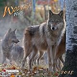 Wolves 2015 (Mini) (Wonderful World) by