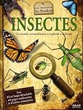 Insectes