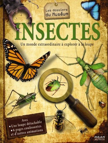 couverture de : Insectes