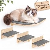 Pawtasy Set of 4 Stairs Wall Cats, Natural Wood 35 kg | 3 climbing boards + 1 corner board. Flexibly combinable to create uni