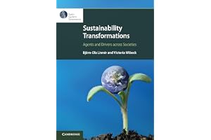Sustainability Transformations: Agents and Drivers across Societies