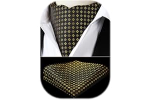 HISDERN Cravat for Men Silk Paisley Mens Cravat and Pocket Square Set Polka Dot Ascot Tie and Handkerchief for Wedding Party Christmas