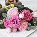 Produktbild DWE 5 künstliche Blumen, Seidenblumen, Pfingstrose, für Brautstrauß, Weihnachten, Hochzeit, Party, Zuhause, Dekoration B Red Pink