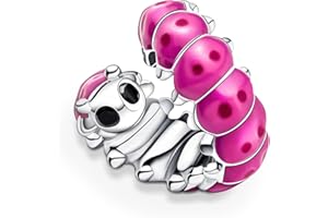 Ruaidhra Sterling Silber Charms Anhänger,Kreuz Herz Blumen Kleeblatt Schildkröte Tier Charms für Armband Halskette,Vielfältig Charm Clip Stopper Bead Charms für Damen