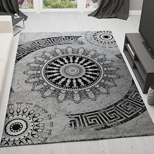 Klassischer Wohnzimmer Teppich Sehr dicht Gewebt, Meliert Medallion Ornament Muster in Grau Schwarz - Top Qualität, VIMODA, Maße:40 cm x 60 cm