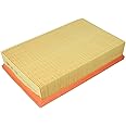 MANN-FILTER C 28 145 Air Filter - CARS + TRANSPORTERS