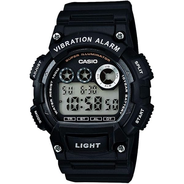 Cinturino Originale Casio In Resina &ndash; Modelli W-735H / AQ-S810 / STL-S100H