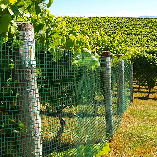 casa pura® Drahtgitter grün | 4-Eck-Geflecht Volierendraht, mit PVC-Beschichtung | verschiedene Größen, 50cmx5m - 4