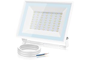 Aigostar Foco LED Exterior 50w,2510LM Foco Proyector,IP65 Impermeable Luz de Seguridad,Luz blanca 6500K Luces led exterior, Para Jardín, Patio,Garaje, etc