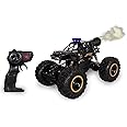 Remote Control Rock Crawler Mist Smoke Spray Function, High Speed 1:18 RC Car Toys for Boys 2WD Off Road Vehicle Toy Cars for Kids Monster Truck Rock Climbing Car Toy (Big Size Fog Rock Crawler Black)
