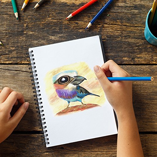 LiSmile 72 Farben Buntstifte Farbstifte -Set für Zeichnen, Skizzieren, Kunst und Erwachsene Malbücher, Perfektes Geschenk Für Hobbykünstler und Kinder - 6