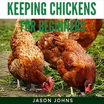 Keeping Chickens For Beginners Keeping Backyard Chickens From