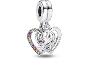 CWOne Designs S925 Sterling Silver Family Moments Love Heart Charm for Pandora Charm Bracelets.