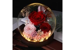 Gugxiom Glass Rose,Preserved Roses Lamp with LED,Light up Preserved Flower for Birthday,Valentine's Day,Christmas (Rose Red)