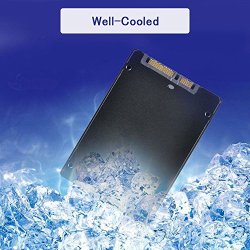 ELUTENG mSATA SSD Gehäuse 6Gbps mSATA auf 2,5″ SATA Adapter für 30x50mm mSATA SSD Festplatten geeignet für Notebook/Laptop und Desktop-PC mSATA SATA Konverter Adapter - 5