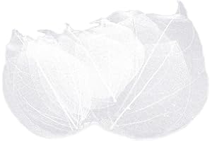 DANLAI 36 Pezzi di Foglie Secche Foglie di Scheletro Naturale Scrapbooking Materiale Fai - -Te Grapbook Carte Craft Wedding Foglie Grandi