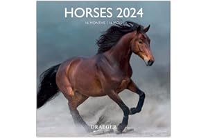 DRAEGER PARYŻ, duży kalendarz ścienny dla koni 2024, wiszący kalendarz 29 x 29 cm, 16 miesięcy, od siedmiu 23 do 24, 7 języków, kalendarz biurowy, do domu, miesięczny, dekoracja, organizacja, papier z