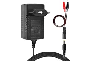 TalentCell 14.4 14.6V/1.5A Smart Charger, AC DC Power Adapter Ladegerät, 12V LiFePO4 Akkus Ladegerät mit DC 5521 Stecker, Krokodilklemmen für Kamera Lautsprecher GPS Webcam Router und mehr