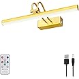 RAIFOOLLY Picture Light, 13in Battery Operated Picture Lights for Paintings,Metal Remote Display Art Light with Timer and Dimmable for Wall Painting,Frame, Portrait, Dartboard(Brass)