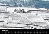 Image de Les Vignes du Lavaux Vaudois 2017: Vignes en Terrasses Sous la Neige