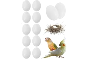 JUKOTA 10 Stück taubeneier attrappe,Taubeneier, Simulation von soliden Kunststoffeiern zum Schlüpfen von Tauben,tauben zubehör,Hilfsmittel für Tauben, landwirtschaftliches Werkzeug für Geflügel