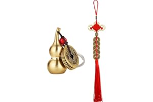 WILLBOND 2 Piezas Encantos de Monedas de Suerte de Nudo Chino Monedas de Fortuna Chinas y Llavero de Latón Wu Lou Cuerda Roja de Moneda China 2024 para Riqueza Salud Éxito a Amigo Familia Amante