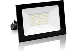 LITGLOBE 30W LED Floodlight Outdoor,3000LM Super Bright LED Security Lights,6500K Cold White Flood Lights Outdoor,IP66 Waterproof Outside Lights,Outdoor Light for Yard Garden Garage