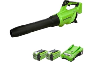 Greenworks GD40ABK2X Soplador de Hojas a Batería Axial con Motor sin Escobillas, 210 km/h, 15,6 m³/min, Dos Baterías de 40V 2Ah y Cargador, Garantía de 3 Años