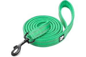 WINHYEPET True Love Chien Laisse Nylon Réfléchissant Poignée Confortable Lead Puppy Training Marche Corde Contrôle Facile Applicable à Toutes Les Races Longueur 110 cm TLL2111(Vert Herbe,M)