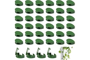 HuaJiao 40 Stück Kletterpflanzen Befestigung, Selbstklebend Wand Pflanzenhalter Pflanzenhalter Clips Weihnachtsdekoration Selber Machen für Heimdekoration Und Pflanzen Wand(Grün)