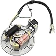 JUUDDENPARTS Robust Ignition Coil Stator, Stator Plate Pickup Magneto Ignition Coil Rotor, JH70 Motorcycle Ignition Coil, Fit for 70cc 90cc 110cc 125cc Pit Bike Dirt Bike