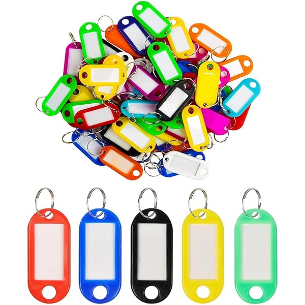 Lot De 50 Étiquettes Porte-Clés - 5 Couleurs - Boîte De Rangement + 25 Étiquettes Papier Supplémentaires