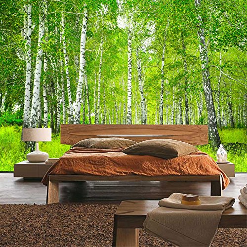 Vlies Fototapete PREMIUM PLUS Wand Foto Tapete Wand Bild Vliestapete – SUNNY BIRCH FOREST – Birkenwald Bäume Wald Sonne Birkenhain Birke Birken Gras Natur Baum – no. 112, Größe:300x210cm Vlies - 8