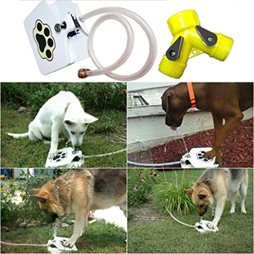 outdoor pet drinking fountain