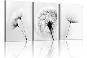 WENGTIAO 3 Pezzi Stampa su Tela Dente di Leone Con Cornice Quadro su Tela Moderne Minimaliste Floreale in Bianco e Nero Pittura Quadro Moderno Soggiorno Camera da Letto Decorazioni Parete 40x60cmx3