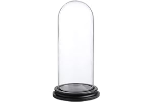 Whole Housewares Decorative Clear Glass Dome - 10cm D x 25cm H Cloche Bell Jar Display Case with Black MDF Base - Hand-Blown Glass Display Dome for Tabletop Centerpiece and Decor Arrangements