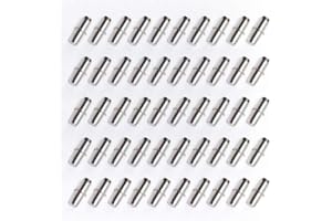 REBANKY LanYing 50 Pezzi Perni per Mensole,Argento Perni di Supporto da Ø6mm,Perni di Supporto Staffe per Mensole,Pioli di Supporto per Libreria Armadio Mobili Scaffale RZ013