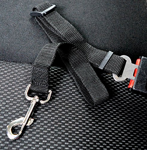 DappaDog-HEAVY-DUTY-Dog-Car-Seat-Belt-for-Strong-Dogs-Universal-Fitting-For-Most-Makes-Models-of-Vehicles-by-RufusRuby