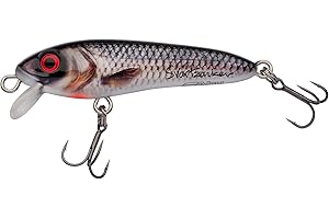 ‎ABU GARCIA Abu Garcia Svartzonker McCelly Diving Hechtköder – Realistischer, handbemalter Hardbait mit starken Berkley Fusion Drillingshaken
