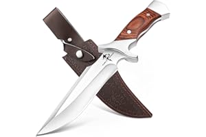 Purple Dragon Lame fixe de couteau de survie en plein air, cadeau d'extérieur pour homme