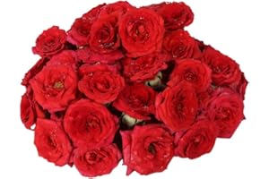 Fresh Assorted Roses (Button Roses), 100g