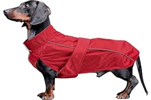 MOREZI Impermeabile bassotto, strato esterno impermeabile, fodera in pile, finiture riflettenti, cintura regolabile, adatto a cani di piccola e media taglia-Rosso-S