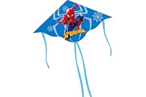 Oirigaga Dragón para niños, cometa de vuelo, dibujos animados anime, cometa infantil con asa, líneas y 4 colas para actividades al aire libre en la playa, parque, cometa pequeña, cometa de viento para