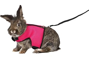 TRIXIE Arnés Suave con Correa para Pequeños Mamíferos 1 unidad [modelo surtido]