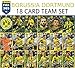 Produktbild FIFA 365 2018 Borussia Dortmund komplettes Basis- Team Set - 18 Karten inklusive all 6 FOLIE KARTEN - Panini Adrenalyn XL